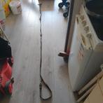 Lederen hondenriem, Ophalen of Verzenden, Gebruikt, Hondenriem