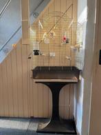 2 kanaries met vogelhok, Dieren en Toebehoren, Ophalen, Zo goed als nieuw, Volière