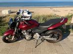 Honda Hornet CB600F, Motoren, Motoren | Honda, 4 cilinders, Motorrijbewijs A, Particulier, Meer dan 35 kW