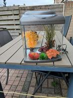 aquarium, Dieren en Toebehoren, Vissen | Aquaria en Toebehoren, Ophalen, Zo goed als nieuw, Leeg aquarium