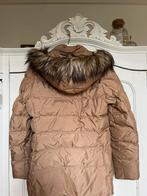 Tommy Hilfiger winterjas mt L., Kleding | Dames, Jassen | Winter, Beige, Maat 42/44 (L), Ophalen of Verzenden, Zo goed als nieuw