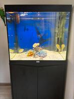 Aquatlanris  vierkant 200ltr hoog glas, Dieren en Toebehoren, Vissen | Aquaria en Toebehoren, Ophalen of Verzenden, Zo goed als nieuw