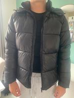 Boohooman Puffer Jas - Glanzend!, Ophalen, Maat 48/50 (M), Zwart, Gedragen