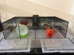Kooi Hok knaagdieren hamster Gerbil Muizen Ferplast favola, Dieren en Toebehoren, Minder dan 75 cm, Zo goed als nieuw, Ophalen