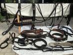 Te koop tweespan borsttuig zeer robuust  , full, Dieren en Toebehoren, Ophalen of Verzenden, Gebruikt