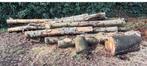 Hout, Tuin en Terras, Haardhout, Ophalen of Verzenden, Overige houtsoorten, Stammen
