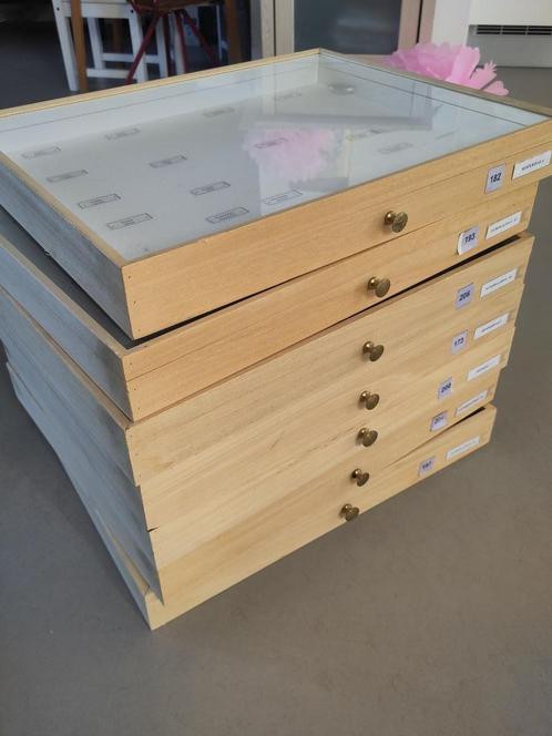 7 insecten box/vitrine/display van Naturalis Leiden., Verzamelen, Dierenverzamelingen, Gebruikt, Overige typen, Overige soorten