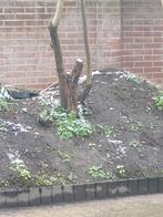 Gratis zwart zand tuin zand, Ophalen, Overige typen