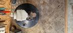 Golf2  9inch rembooster. Bigbrake ombouw!, Ophalen of Verzenden, Audi