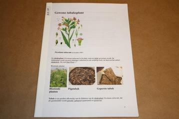 Reader over Gewone tabaksplant. beschikbaar voor biedingen