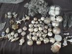 Kerstboomdecoratie zilver/wit,, Ophalen of Verzenden, Zo goed als nieuw