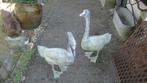 2 zwanen eenden gif groen mooie kleur, Tuin en Terras, Tuinbeelden, Ophalen of Verzenden, Nieuw, Metaal, Dierenbeeld