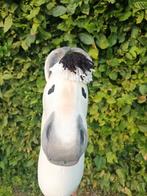 Superleuke fjord hobbyhorse, Dieren en Toebehoren, Ophalen of Verzenden