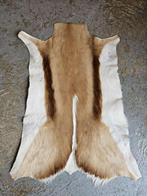 springbok vel,vacht ``WOONWINKEL RUSTIEK``, Ophalen of Verzenden, Nieuw