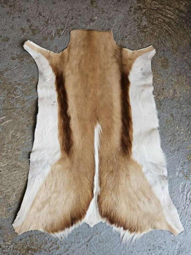 springbok vel,vacht ``WOONWINKEL RUSTIEK``, Huis en Inrichting, Woonaccessoires | Plaids en Woondekens, Nieuw, Ophalen of Verzenden