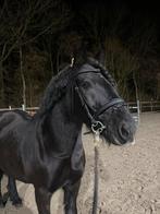 Hoofdstel te koop full, Ophalen of Verzenden, Zo goed als nieuw, Recreatie