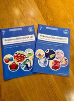 Junior Einstein Groep 7 Rekenen Oefenboeken 1 en 2, Boeken, Junior Einstein, Ophalen of Verzenden, Zo goed als nieuw, Nederlands