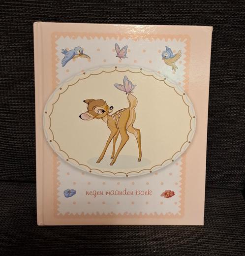 Disney baby/ zwangerschap boek, Verzamelen, Disney, Nieuw, Ophalen of Verzenden