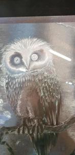 schilderij uilen aluminium, Ophalen of Verzenden, 'T Olde Gre-j, Info@toldegrej.nl, Endepoelstraat 20f Didam