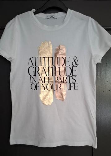 Stradivarius T-shirt XS - Gedragen beschikbaar voor biedingen