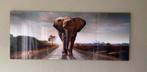 Mooie glasfoto olifant, Ophalen, Zo goed als nieuw, Schilderij, Minder dan 50 cm