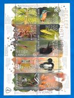 Beleef de natuur Oisterwijkse Bossen 2023 (postzegelvel), Verzenden, Na 1940, Postfris