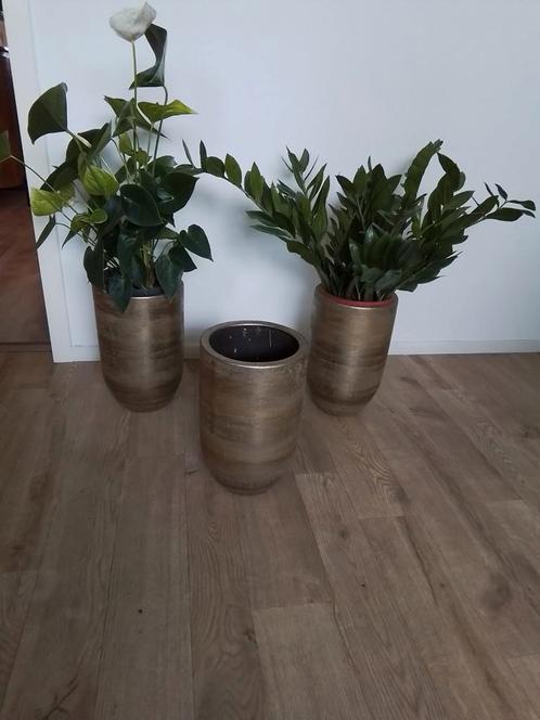 Bloempotten Goud, Huis en Inrichting, Woonaccessoires | Vazen, Zo goed als nieuw, Overige kleuren, Minder dan 50 cm, Aardewerk of Porselein