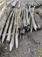 Robinia geschild diverse maten te koop, Tuin en Terras, Palen, Balken en Planken, Ophalen, Palen, Nieuw, Hardhout