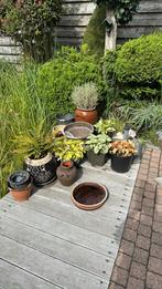 Verschillende bloempotten, Tuin en Terras, Bloembakken en Plantenbakken, Ophalen, Rond, Steen, Minder dan 30 cm