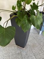 plantenbak 2 stuks, Tuin en Terras, Bloembakken en Plantenbakken, Ophalen, Tuin, Steen, Zo goed als nieuw