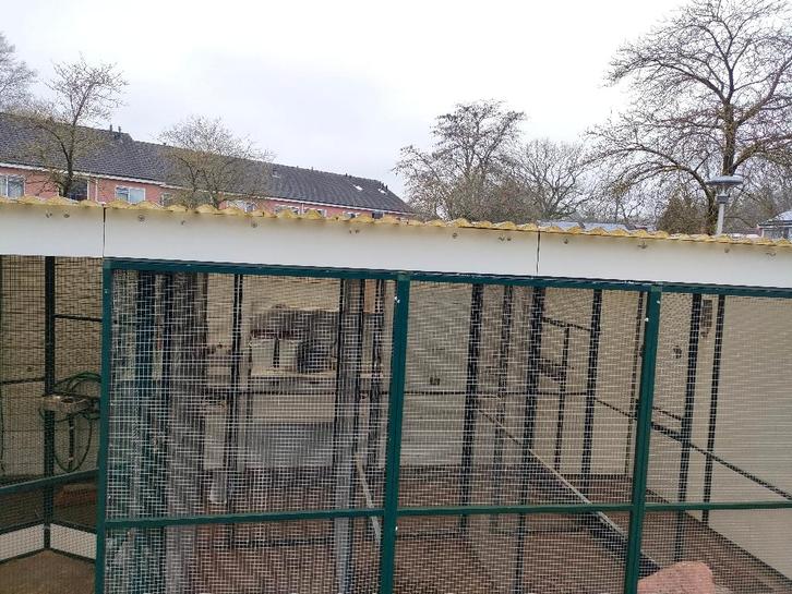 voliere, Dieren en Toebehoren, Vogels | Hokken en Kooien, Gebruikt, Volière, Metaal, Ophalen