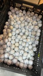100 Stuks Vice Mix Golfballen, Sport en Fitness, Golf, Ophalen of Verzenden, Zo goed als nieuw, Bal(len)