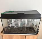 Aquarium, Dieren en Toebehoren, Vissen | Aquaria en Toebehoren, Ophalen