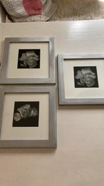 fotolijsten aluminium wissellijst met passe-partout, Huis en Inrichting, Woonaccessoires | Lijsten, Minder dan 50 cm, Metaal of Aluminium