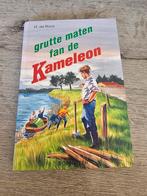 Roos - Grutte maten fan de kameleon  friestalig, Ophalen of Verzenden, Zo goed als nieuw, Roos