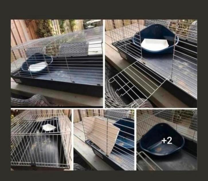 Knaagdier kooi konijnenkooi caviakooi konijn cavia, Dieren en Toebehoren, Knaagdieren en Konijnen | Hokken en Kooien, Zo goed als nieuw