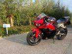 Honda CBR 600 RR - 2010 - ABS - Mivv, Motoren, Motoren | Honda, 4 cilinders, Motorrijbewijs A, Bedrijf, Super Sport