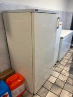 Liebherr vriezer met schappen groot, Witgoed en Apparatuur, Vriezers en Diepvrieskisten, Ophalen, Gebruikt, Minder dan 60 cm