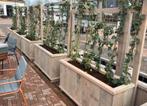 Plantenbakken/bloemenbak van stijgerhout nieuw, Tuin, Verzenden, Vierkant, Nieuw