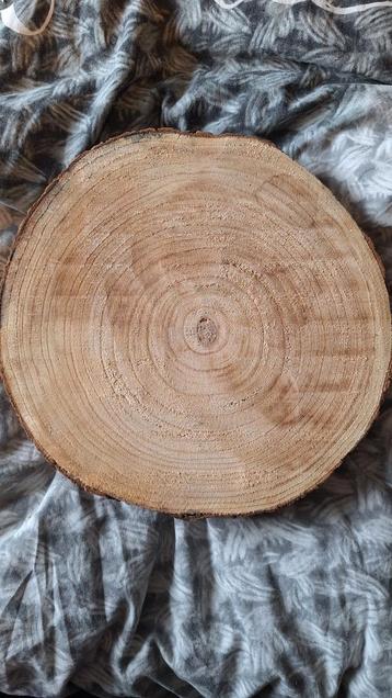 Boomstam Schijf - Decoratief Hout beschikbaar voor biedingen