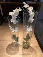 Witte Orchideeën in Glazen Vazen, Ophalen, Gebruikt, Wit, Glas