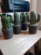 Cactus, Huis en Inrichting, Woonaccessoires | Overige, Ophalen