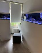 Waanzinnige Aquariums aquarium kubus en 2 meter, Ophalen of Verzenden