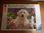 Puzzel Ravensburger Hond 500 stukjes, Kinderen en Baby's, Speelgoed | Kinderpuzzels, 6 jaar of ouder, Meer dan 50 stukjes, Ophalen of Verzenden