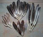 Partij veren ,echte veren rui, Gebruikt, Materiaal, Ophalen of Verzenden, Nvt