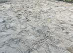 Gratis 3 m3 egaliseer-/bouwzand, wit zand, Ophalen, Zo goed als nieuw, Ophoogzand