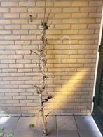 Decoratietak perenboom, Ophalen, Zo goed als nieuw, Binnen