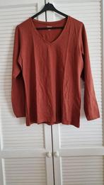 Zeeman Top maat 44.., Ophalen, Bruin, Zeeman, Maat 42/44 (L)