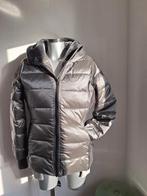 NIEUW Bo4 dameswinterjack maat 38, Ophalen of Verzenden, Nieuw, Maat 38/40 (M)