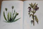 Kruiden rondom ons - Recepten voor gebruik van kruiden, Boeken, Ophalen of Verzenden, Gelezen